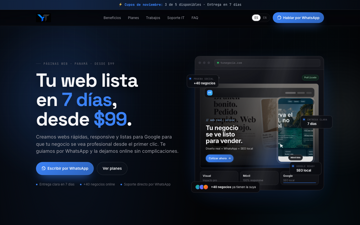Vista previa del sitio web YoungTech PTY